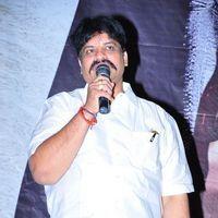 Simham Puli Audio Release Function - Pictures | Picture 110193